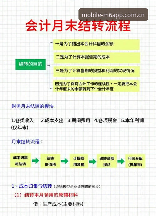 M6体育平台实战指南：从下载到流畅观赛的全流程详解